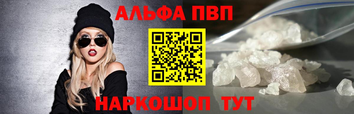 Alfa_PVP СК Тара