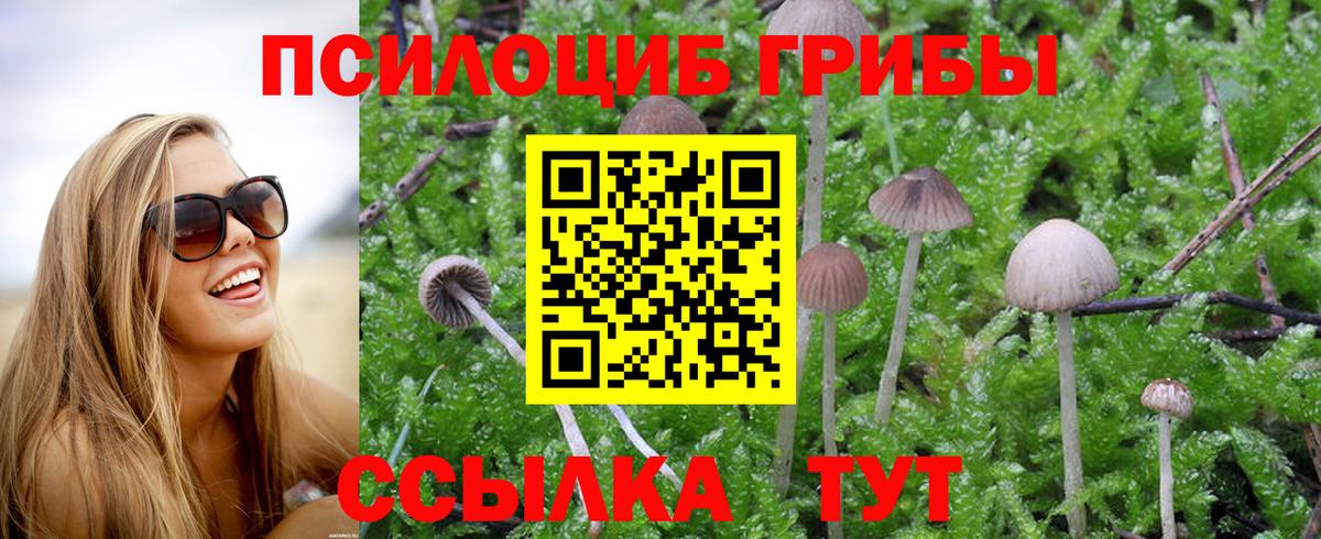 Галлюциногенные грибы мицелий Тара