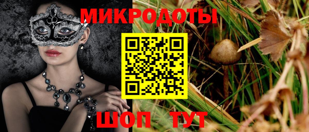 Галлюциногенные грибы Psilocybe  Вход с VPN  Тара 